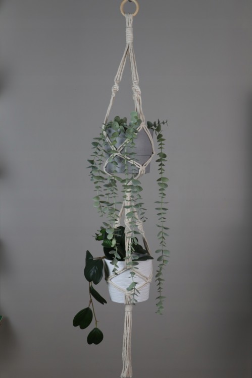 Kwietnik podwójny, aranż