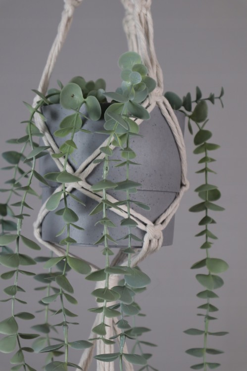 Kwietnik podwójny, zbliżenie koszyk